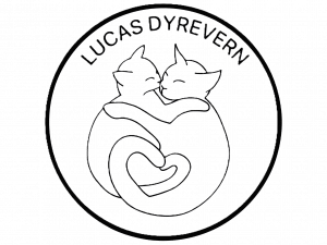 Lucas Dyrevern Logo